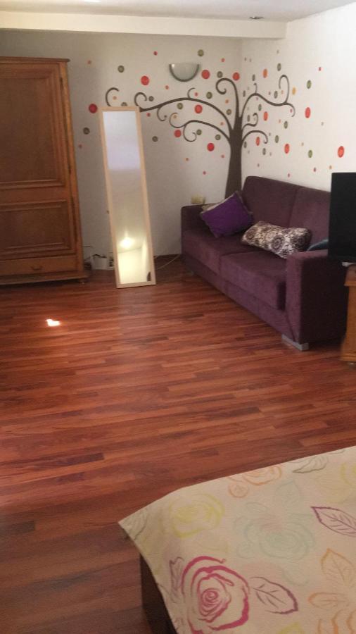 Fantasy Residence Braşov Dış mekan fotoğraf